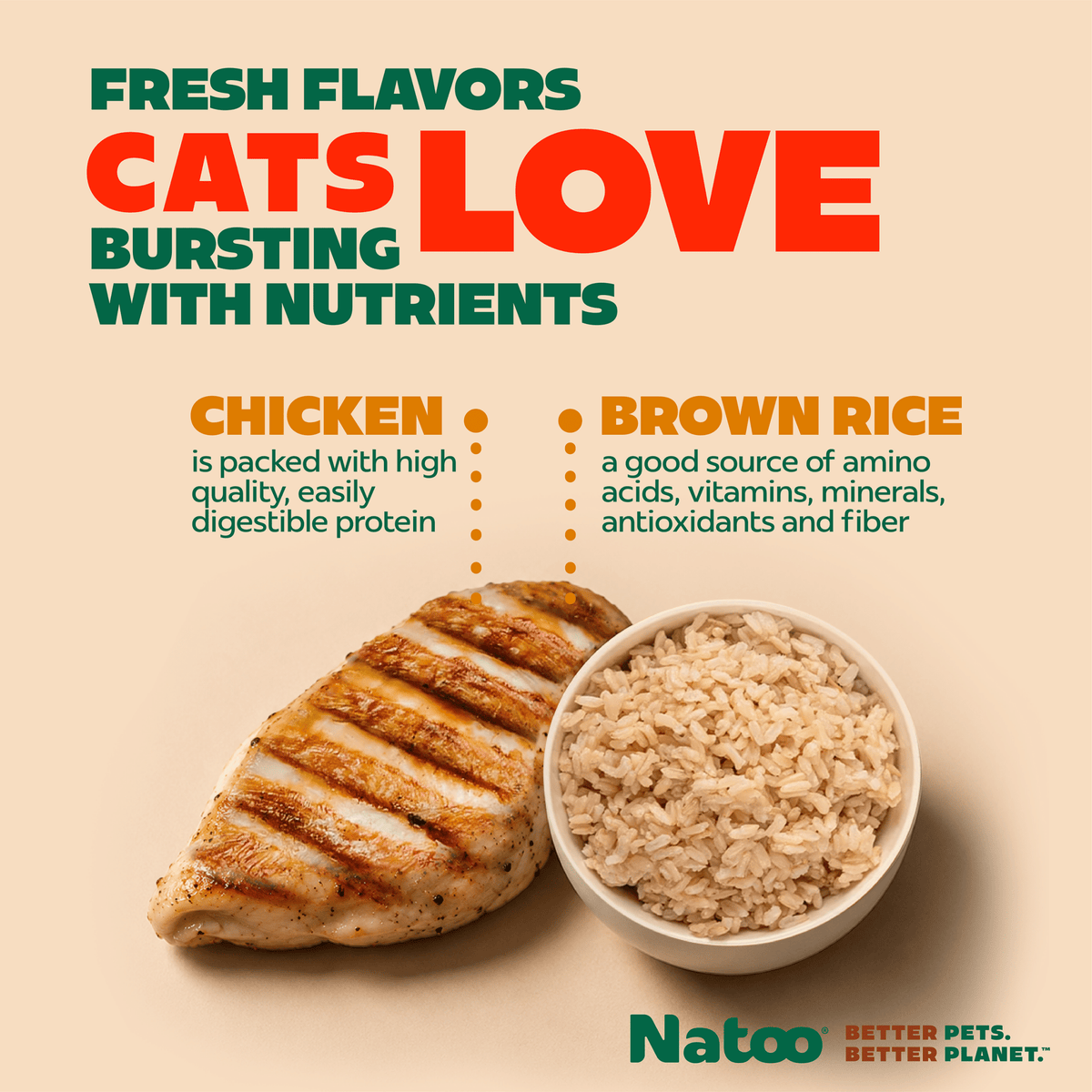 Natoo Chicken & Brown Rice in Broth (20 pack) - Natoo Pet Foods