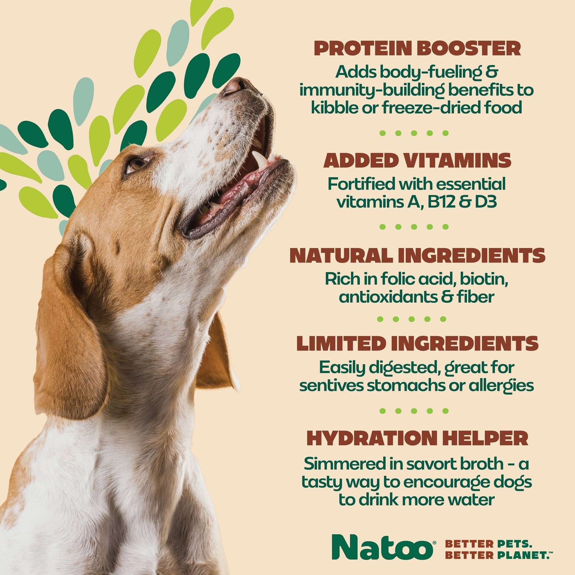 Natoo Chicken, Carrot, Brown rice and Quinoa in broth (20 pack) - Natoo Pet Foods