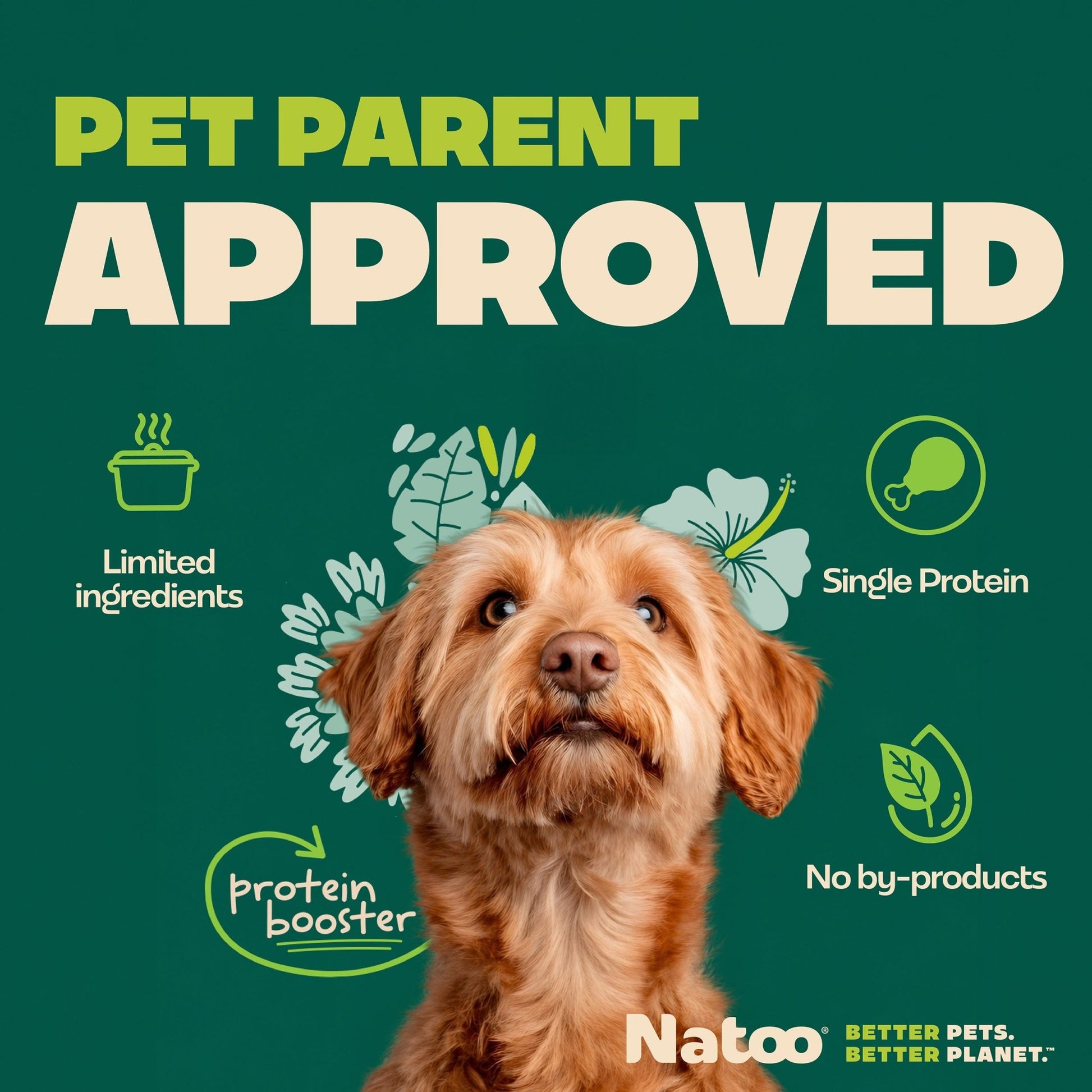 Natoo Chicken, Carrot, Brown rice and Quinoa in broth (20 pack) - Natoo Pet Foods