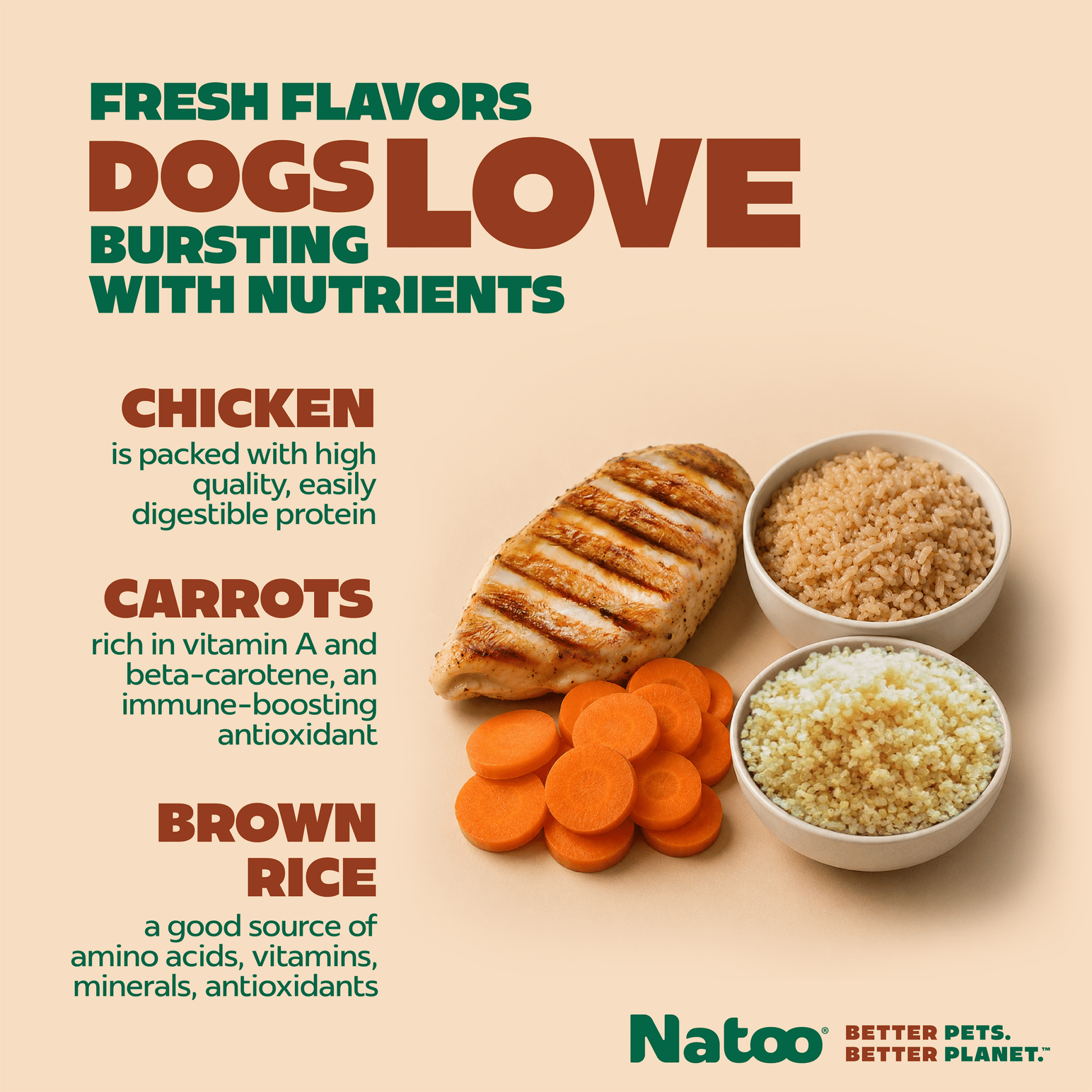 Natoo Chicken, Carrot, Brown rice and Quinoa in broth (20 pack) - Natoo Pet Foods