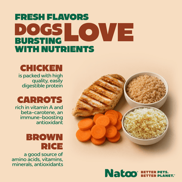 Natoo Chicken, Carrot, Brown rice and Quinoa in broth (20 pack) - Natoo Pet Foods