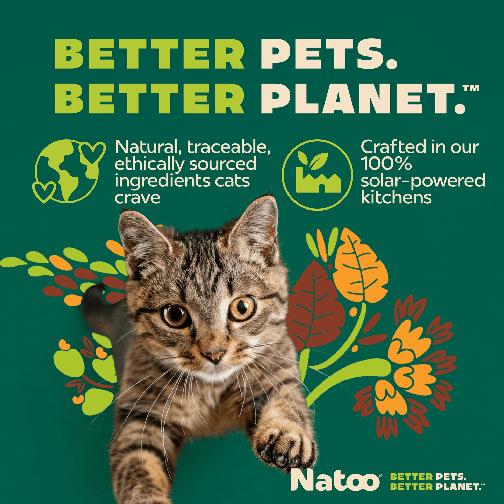 Natoo Chicken with Sweet potato and Broccoli in broth (20 pack) - Natoo Pet Foods