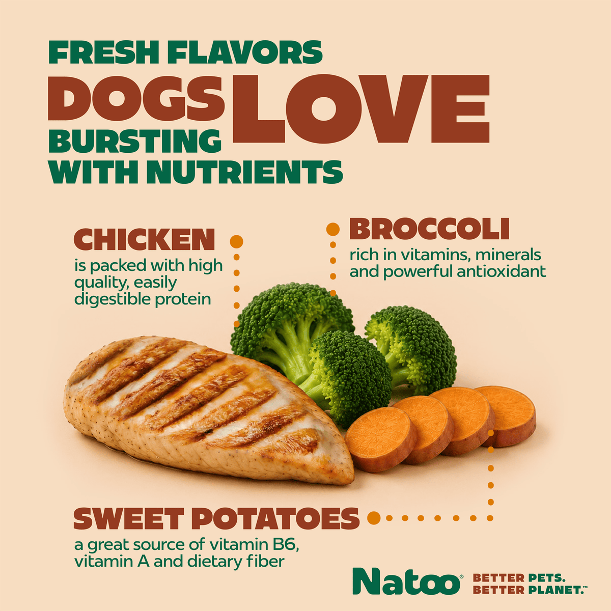 Natoo Chicken with Sweet Potato & Broccoli in Broth (20 pack) - Natoo Pet Foods