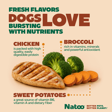 Natoo Chicken with Sweet Potato & Broccoli in Broth (20 pack) - Natoo Pet Foods