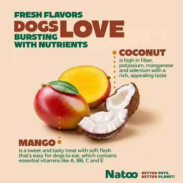 Natoo Crunchy Biscuits Coconut And Mango Flavor - BIG BITE - Natoo Pet Foods
