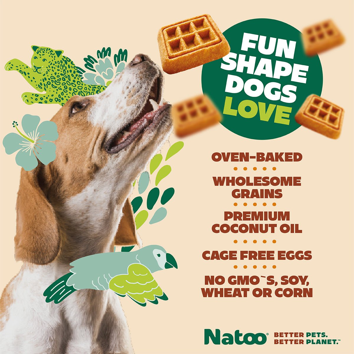 Natoo Crunchy Biscuits Oats And Berries Flavor - Natoo Pet Foods