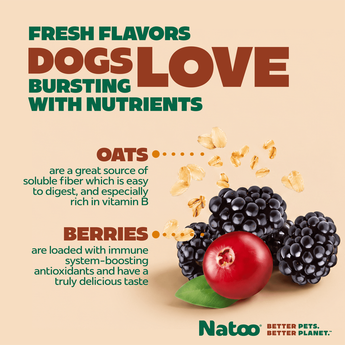 Natoo Crunchy Biscuits Oats And Berries Flavor - Natoo Pet Foods