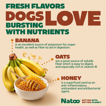 Natoo Crunchy Biscuits – Oats, Banana and Honey Flavor - BIG BITE - Natoo Pet Foods
