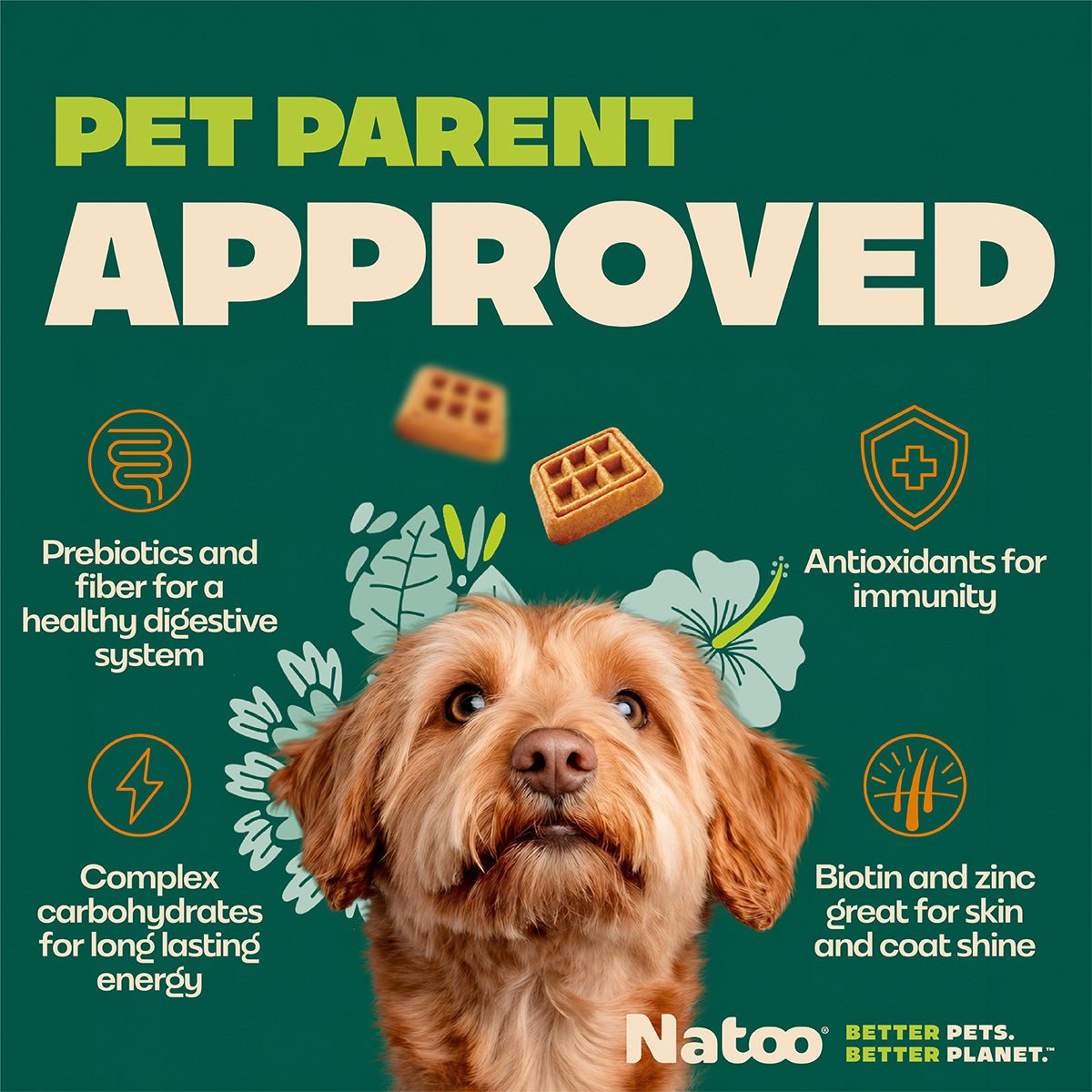 Natoo Crunchy Biscuits – Oats, Banana and Honey Flavor - BIG BITE - Natoo Pet Foods
