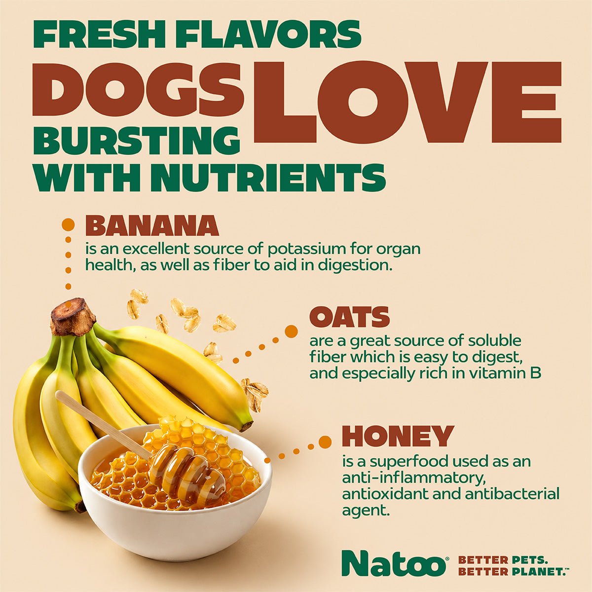 Natoo Crunchy Biscuits – Oats, Banana and Honey Flavor - Natoo Pet Foods