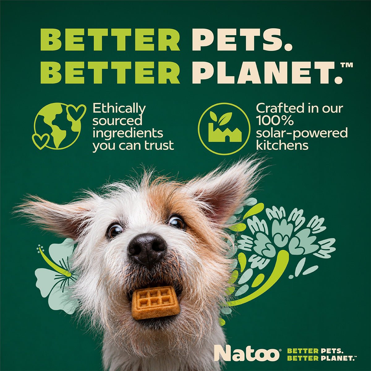 Natoo Crunchy Biscuits Peanut Butter Flavor - Natoo Pet Foods