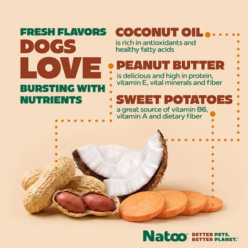 Natoo Crunchy Biscuits Peanut Butter Flavor - Natoo Pet Foods