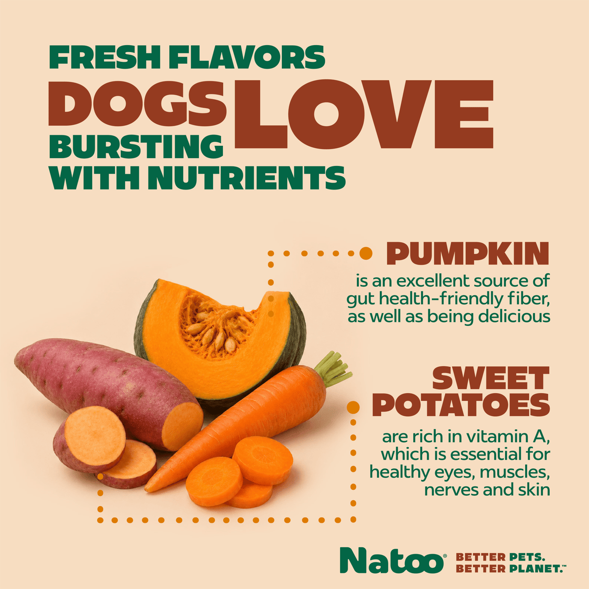 Natoo Crunchy Biscuits Sweet Potato And Pumpkin Flavor - Natoo Pet Foods