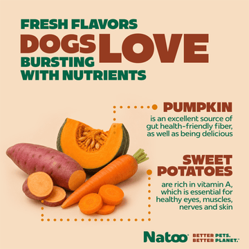 Natoo Crunchy Biscuits Sweet Potato And Pumpkin Flavor - Natoo Pet Foods
