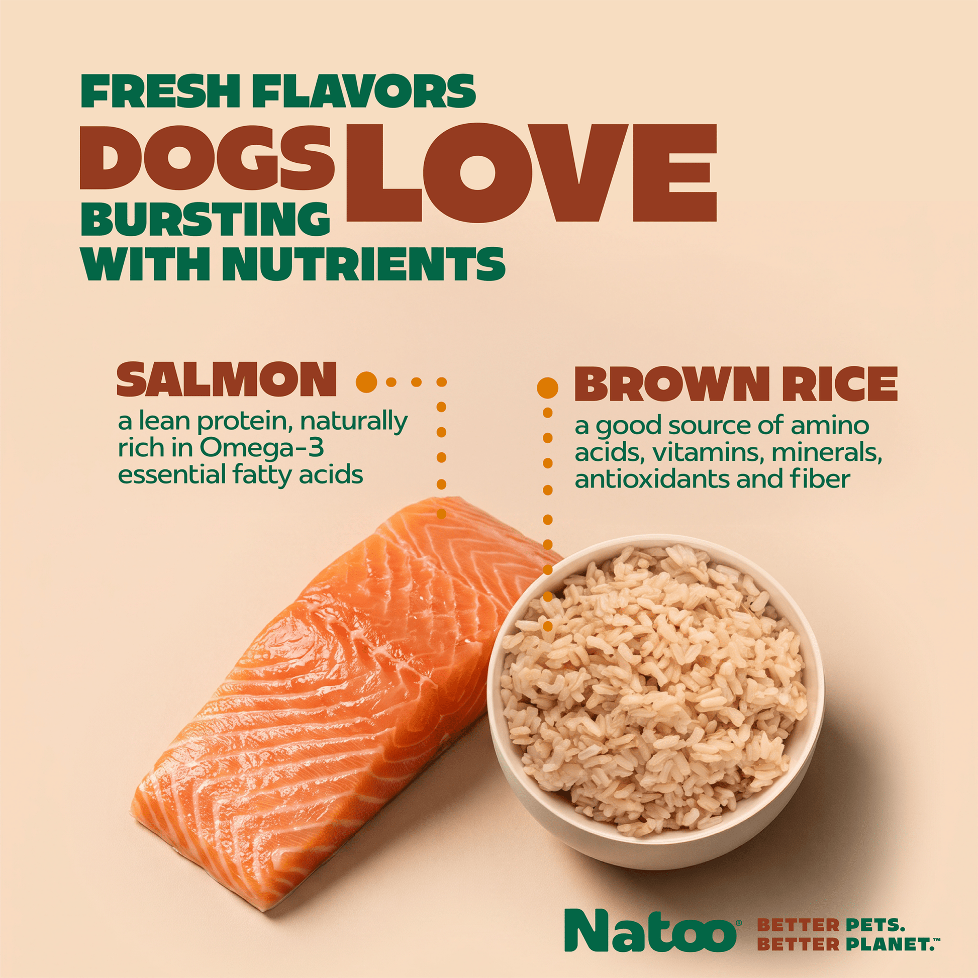 Natoo Salmon & Brown Rice in Broth (20 pack) - Natoo Pet Foods