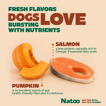 Natoo Salmon with Pumpkin in Broth (20 pack) - Natoo Pet Foods