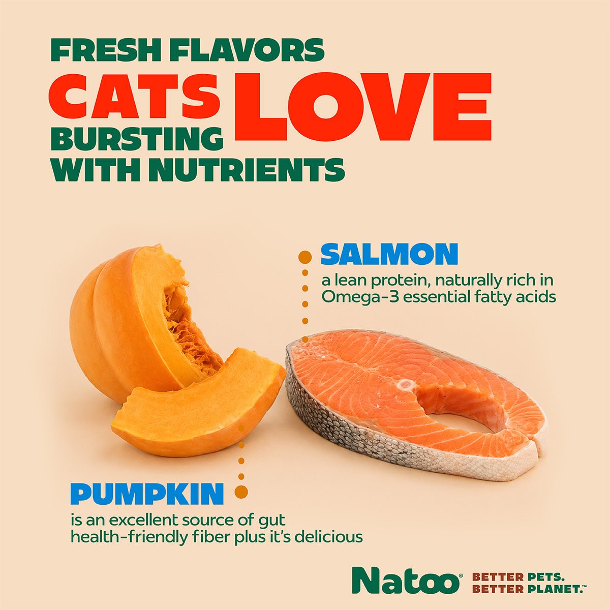 Natoo Salmon with Pumpkin in broth (20 pack) - Natoo Pet Foods