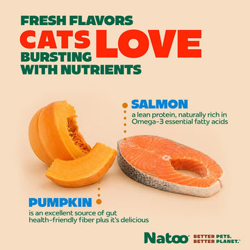 Natoo Salmon with Pumpkin in broth (20 pack) - Natoo Pet Foods